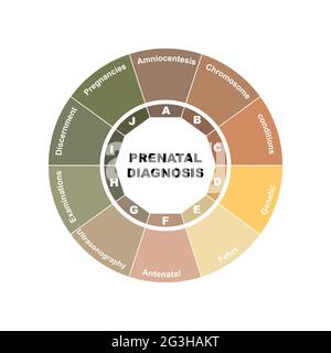 Diagram concept with Prenatal Diagnosis text and keywords. EPS 10 isolated on white background Stock Vector