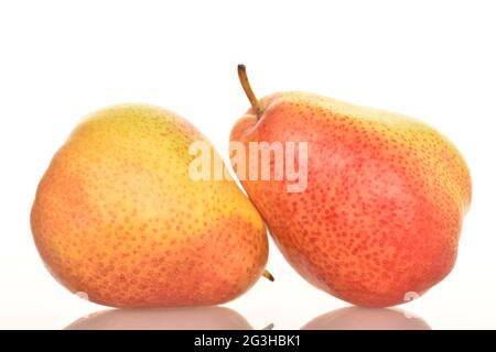 Two yellow-red pears, close-up, on a white background. Stock Photo