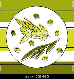 Seamless pattern of green olives. Outline olive branches on a striped background. Hand drawn berries and olive leaves. Vector plants stock illustratio Stock Vector
