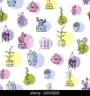 Seamless vector pattern Doodle plants with colorful circles. Hand drawn leaves, succulents and cactus with interior poly faceted flower pot. Spring co Stock Vector