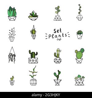 Doodle green plants. Hand-drawn leaves, succulents and cactus with poly faceted flower pot. Outline home plants isolated on a white background. Cute i Stock Vector