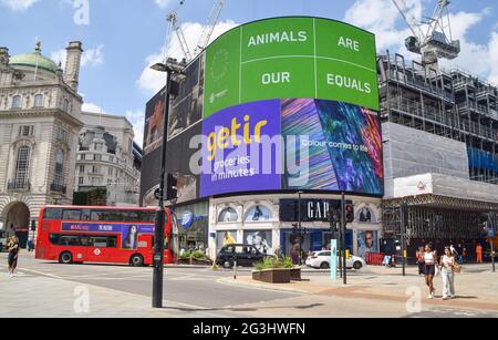 London, UK. 16th June, 2021. 'Animals Are Our Equals' is being displayed on the screens in Piccadilly Circus, part of a campaign for a cruelty-free, fur-free society by fashion designer Stella McCartney and Humane Society International. Credit: Vuk Valcic/SOPA Images/ZUMA Wire/Alamy Live News Stock Photo
