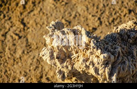 A wooden crumbling post on the lake for the extraction of salt. Salt deposits. Healing mud. Pink lake. Top view Stock Photo