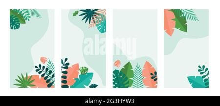 Simple Tropical Palm and Motstera Leaves Natural set Background. Vector Illustration EPS10 Stock Vector