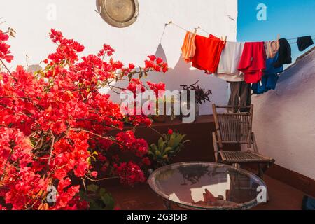 Pink bougainvillea flowers growing on a rooftop patio in Córdoba, Spain on a beautiful clear afternoon, while some laundry hangs to dry on the line Stock Photo