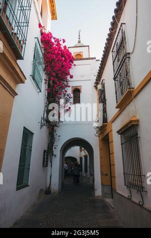 Bright pink bougainvillea flowers hang from a building in Córdoba, Spain Stock Photo