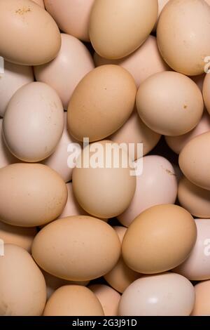 Eggs, Chicken eggs. Many fresh eggs. Stock Photo