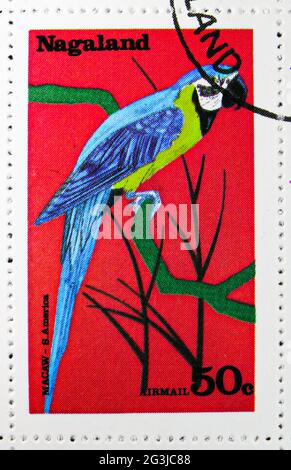 MOSCOW, RUSSIA - APRIL 17, 2021: Postage stamp printed in Cinderellas shows Macaw, Nagaland serie, circa 1977 Stock Photo