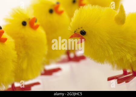 Abundance of easter chicks, selective focus Stock Photo