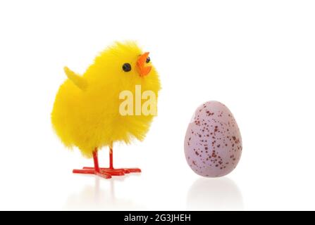 Single easter chick with a chocolate egg Stock Photo