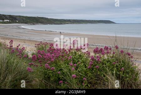 A view of the beach at Port Eynon in South Wales, part of the Gower Peninsula area popular with holidaymakers. Stock Photo