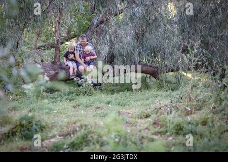 Sons sitting on the knees of their father in the forest Stock Photo