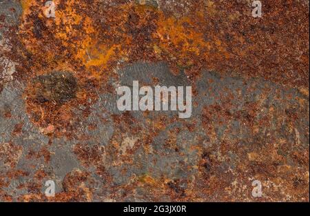 Rust backgrounds - Metal covert in rust Stock Photo