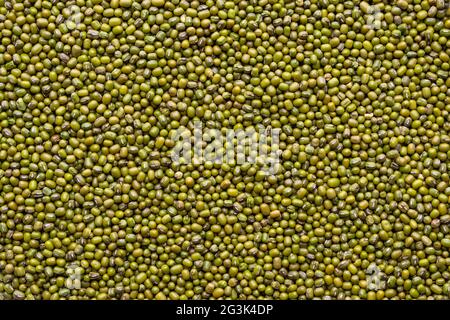 Green bean or mung bean background Stock Photo