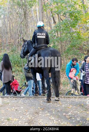 A Montreal mounted police officer on Mount Royal, Montreal  Canada Stock Photo