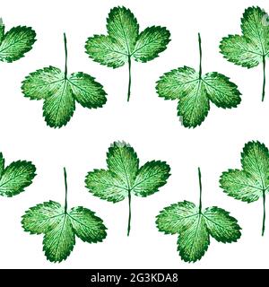 Seamless pattern with engraved strawberry leaves Stock Photo
