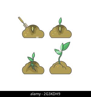 How to put plant. Stages of growth Stock Photo