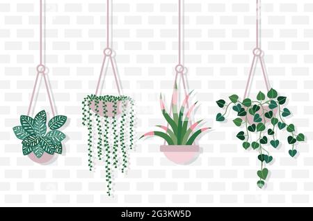 House Plants Hang on Rope on Brick Wall Stock Vector