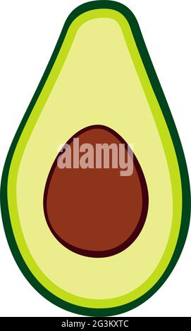 Vector fresh fruits cut in half avocado isolated on white background. Organic, vegan, eco, healthy food, raw product, breakfast - minimalistic vector Stock Vector