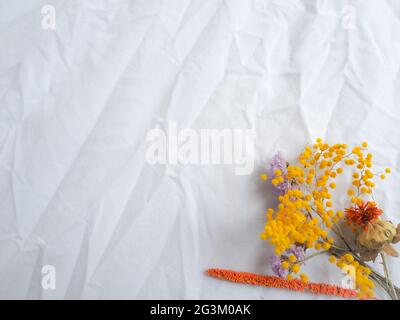 Vibrant dried flowers on a white textured background Stock Photo