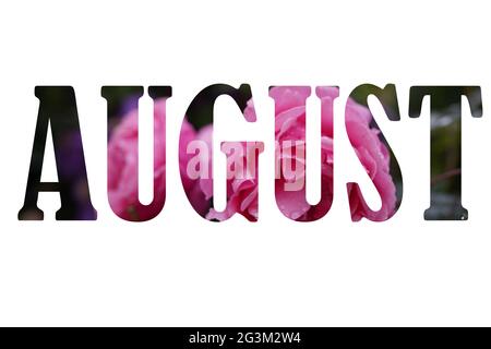 Word August made of leaves and flowers on white background. Creative photo Stock Photo