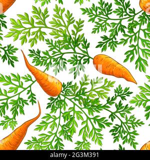 carrot vector pattern on white background Stock Vector