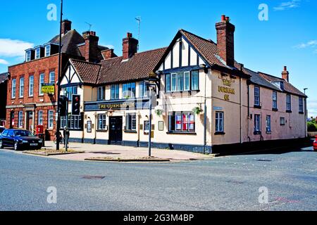 The Durham Ox Stock Photo - Alamy