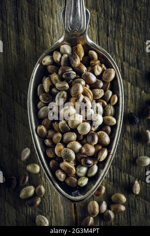 Dried hemp seeds in a spoon Stock Photo