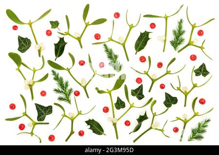 Holly berry, mistletoe, ivy and juniper fir leaves on white background. English winter plants worshipped by Druids as pagan symbols. Christmas, winter Stock Photo