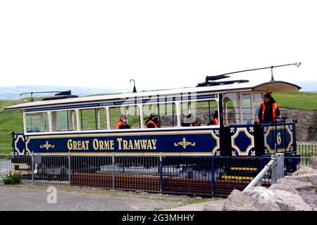Tramcar on the Great Orme tramway Llandudno Stock Photo