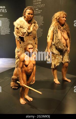 FRANCE  RHONE (69) LYON.MUSEE OF CONFLUENCES, NATURAL HISTORY AND COMPANY, LOCATED AT THE CONFLUENCE OF THE RHONE AND SAONE, PREHISTORIC WOMEN Stock Photo