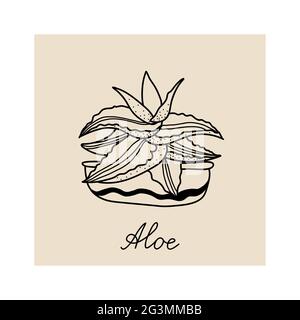 postcard template with indoor aloe in the pot Stock Vector