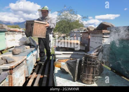 "22.09.2019, Telawi, Kakheti, Georgia - Beekeeper working on his hives. 00S190922D100CAROEX.JPG [MODEL RELEASE: NO, PROPERTY RELEASE: NO (c) caro imag Stock Photo