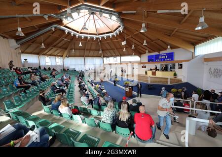 '04.09.2020, Iffezheim, Baden-Wuerttemberg, Germany - View into the auction hall, which is sparsely occupied due to the Corona pandemic. 00S200904D266 Stock Photo