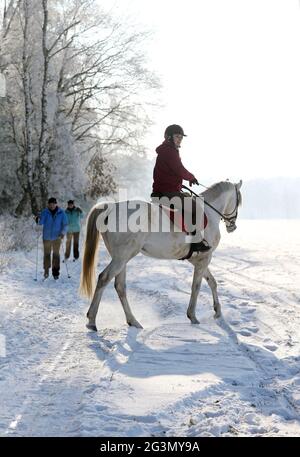 '14.02.2021, Altlandsberg, Brandenburg, Germany - young woman meets cross-country skiers during a horseback ride in winter. 00S210214D967CAROEX.JPG [M Stock Photo