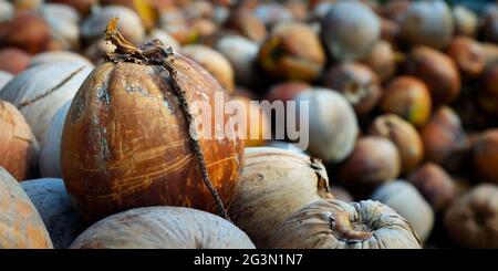 close up of coconut in coconut heap Stock Photo