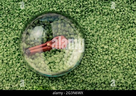 Tiny figurine of man model  under magnifying glass Stock Photo