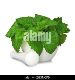 Lemon balm leaves in a mortar isolated on white background Stock Photo