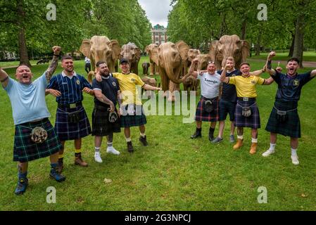 London, UK. 17 June 2021. Scotland supporters wearing kilts, in the capital for the England v Scotland Euro 2020 group match at Wembley Stadium the next day, pose with some of the 100 wooden elephants currently on display in Green Park, part of the CoExistence herd.  Handcrafted from a natural plant material called Lantana camara, the wooden elephants are currently on an installation tour of the UK to highlight a crowded planet and human encroachment on wild places.  Credit: Stephen Chung / Alamy Live News Stock Photo
