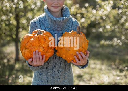 Deformed ugly orange pumpkins in a child hands.  Stock Photo