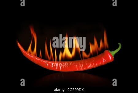 Burning pepper on black Stock Photo