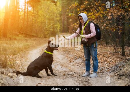 Woman Trains A Dog While Hiking In Forest Stock Photo