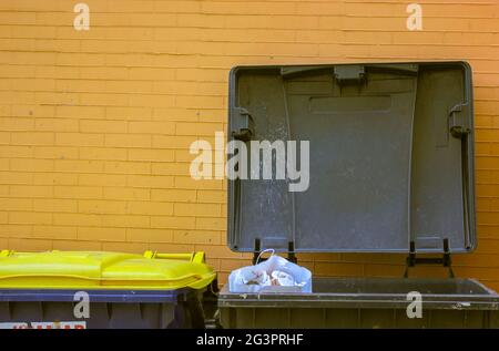 Plastic large trash cans with the lids up and garbage inside