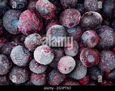 Close up of frozen blueberries Stock Photo