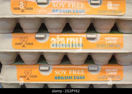 Three Dozen Eggs in Cartons Stock Photo