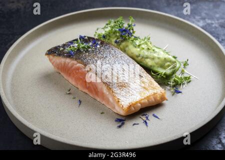 Minimalistic design salmon fish filet glazed with avocado and wasabi creme in a sliced cucumber as closeup on a modern design pl Stock Photo
