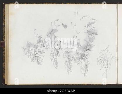 Trees. Leaf 45 Verso from a sketchbook with 51 sheets. Stock Photo