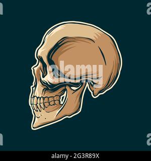 Skull drawing side view in vintage style. Vector illustration. Stock Vector