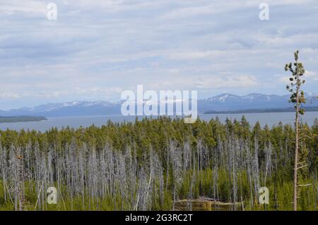 Spring in Yellowstone National Park: Yellowstone Lake, Lake Butte, Cathedral Peak, Silvertip Peak and Avalanche Peak Seen from Along Grand Loop Road Stock Photo