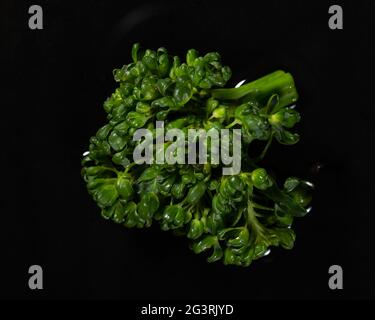 fresh broccoli on a black iron pan Stock Photo